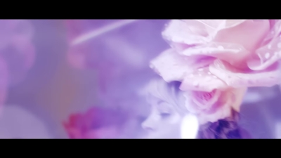 Dance_of_the_Sugar_Plum_Fairy__-_00815.jpg