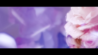 Dance_of_the_Sugar_Plum_Fairy__-_00818.jpg
