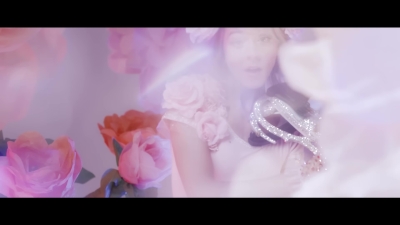 Dance_of_the_Sugar_Plum_Fairy__-_01069.jpg