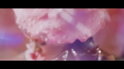 Dance_of_the_Sugar_Plum_Fairy__-_01573.jpg