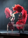 The_Lindsey_Stirling_Christmas_Program_Winter_Tour_-_November_26_2021_283629.jpg
