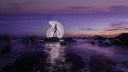 Light-painting_photography_-05738.jpg