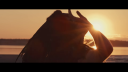 I_Wonder_As_I_Wander_-01683.png