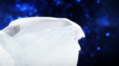 Stars_Align___-00484.jpg