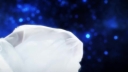 Stars_Align___-00480.jpg