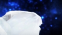 Stars_Align___-00482.jpg