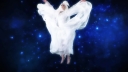 Stars_Align___-00566.jpg