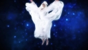 Stars_Align___-00575.jpg
