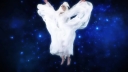 Stars_Align___-00576.jpg