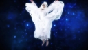 Stars_Align___-00582.jpg