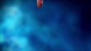 Stars_Align___-00624.jpg