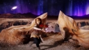 Stars_Align___-00932.jpg