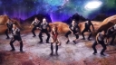 Stars_Align___-01584.jpg