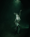 Artemis_281829.jpg