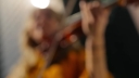 Filename=Angels_We_Have_Heard_on_High__-_03188.jpg
Filesize=168KiB
Dimensions=1920x1080
Date added=Jul 03, 2025 Angels_We_Have_Heard_on_High__-_03188.jpg