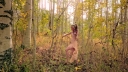 Guardian_-_00359~0.jpg