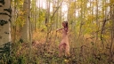 Guardian_-_00362~0.jpg